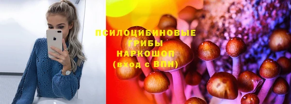 гашик Гусиноозёрск