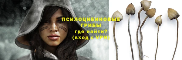 дурь Гусев