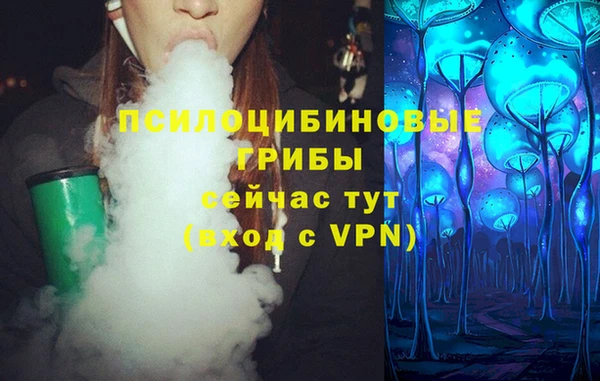 дурь Гусев