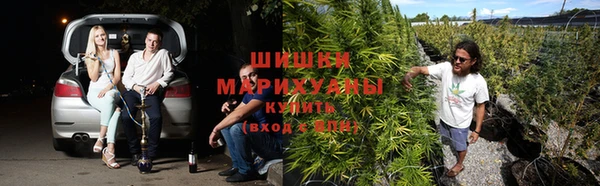 COCAINE Гусь-Хрустальный
