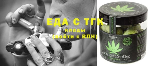 дурь Гусев