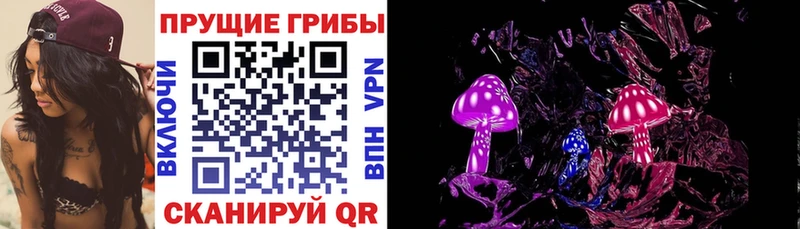 Псилоцибиновые грибы Psilocybine cubensis  Купить закладки  Усть-Илимск 